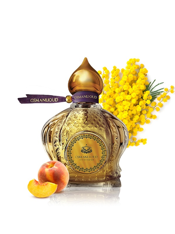 عطر أيسل (Aysel) – 65 مل